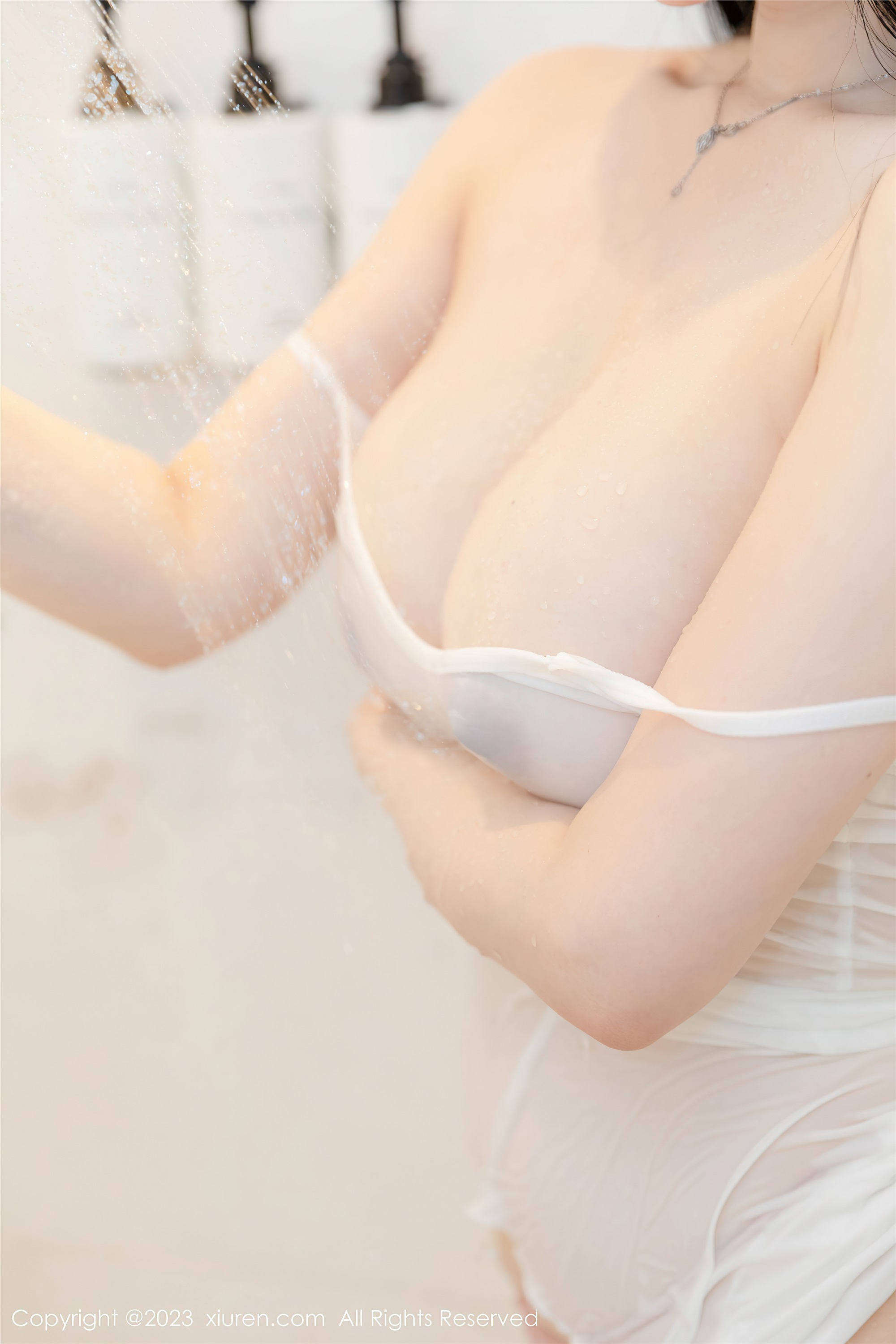 XiuRen秀人网  2023.06.25 NO.6968 柚琪Rich